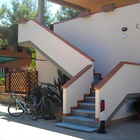 Gelsomino Primo Piano