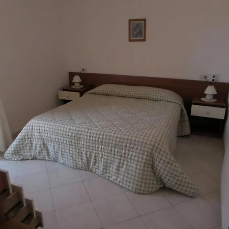 Gelsomino Primo Piano *