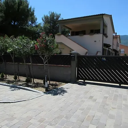 Gelsomino Primo Piano