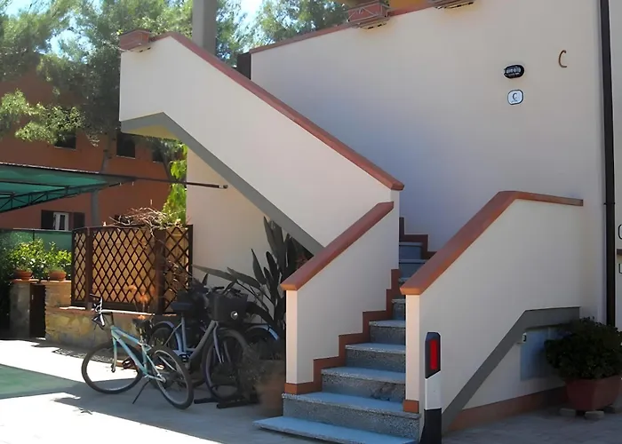 Gelsomino Primo Piano