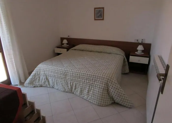 Gelsomino Primo Piano *