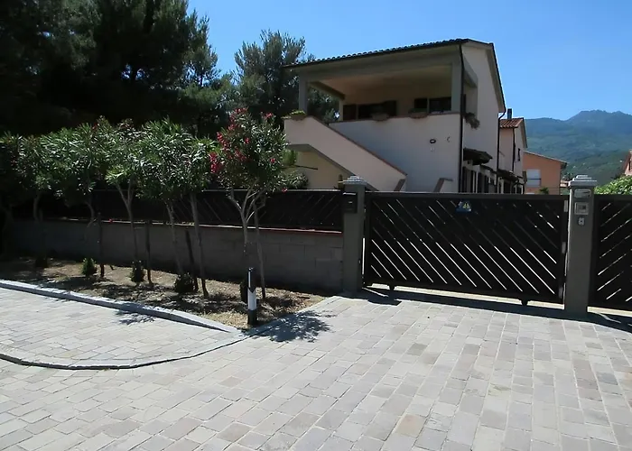 Gelsomino Primo Piano